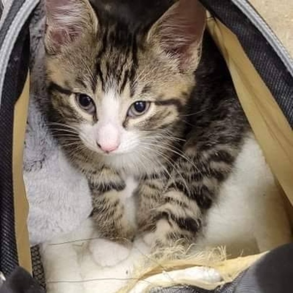 Meet your Posher, Jay - Picture 1 of 1